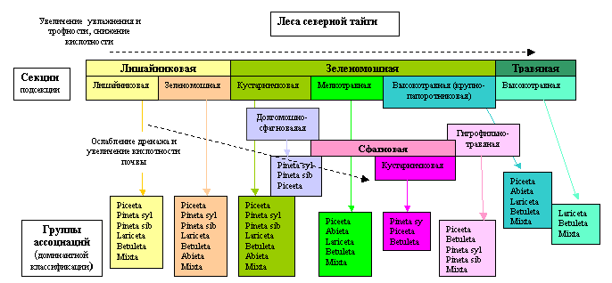 Экологическая структура